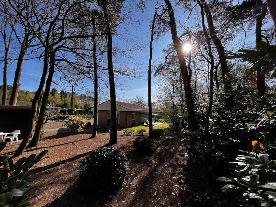 Fijne Plek Met Eigen Bos 2000M2 En Gratis Linnen En Handdoeken!! Denekamp Exterior photo